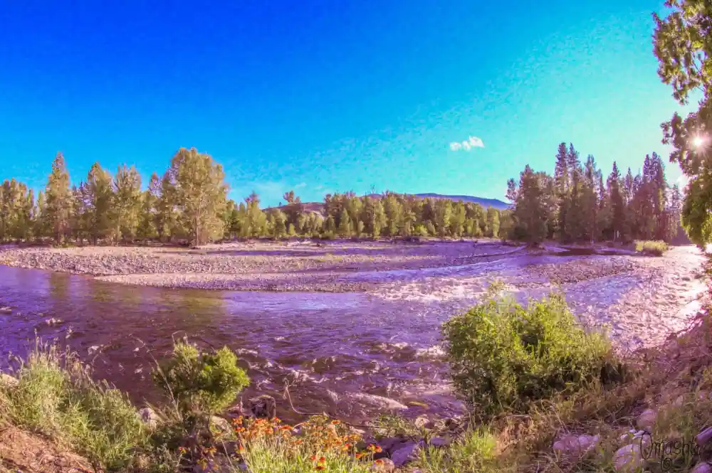 Stylized photo of riverbank